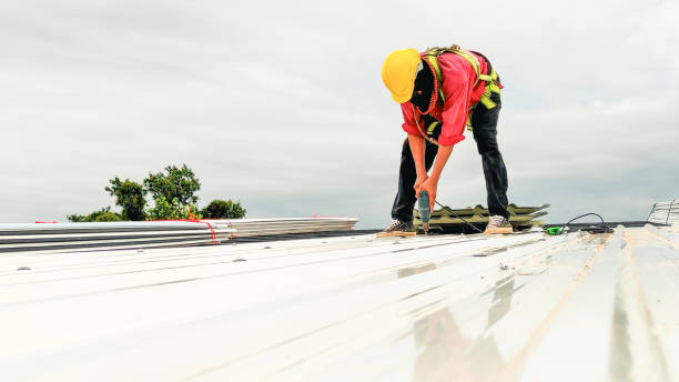 Best 4 Ply Roofing  in Vista, CA