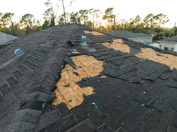 Best Asphalt Shingles Roofing  in Vista, CA