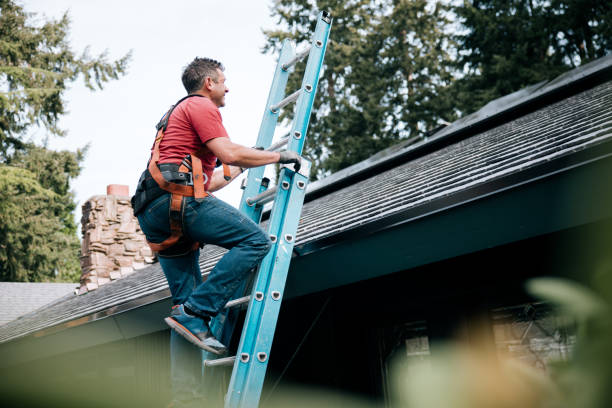Best Gutter Installation and Repair  in Vista, CA